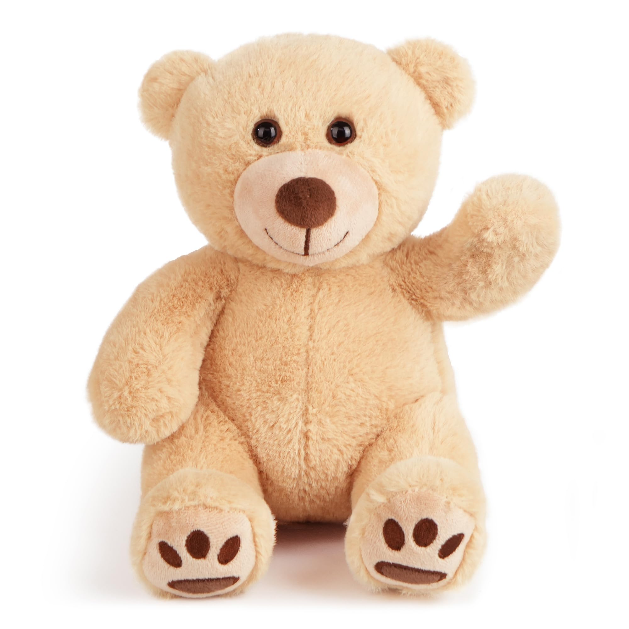 Plush Teddy Bear